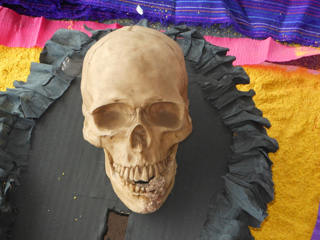 skull day of the dead mexico free photo