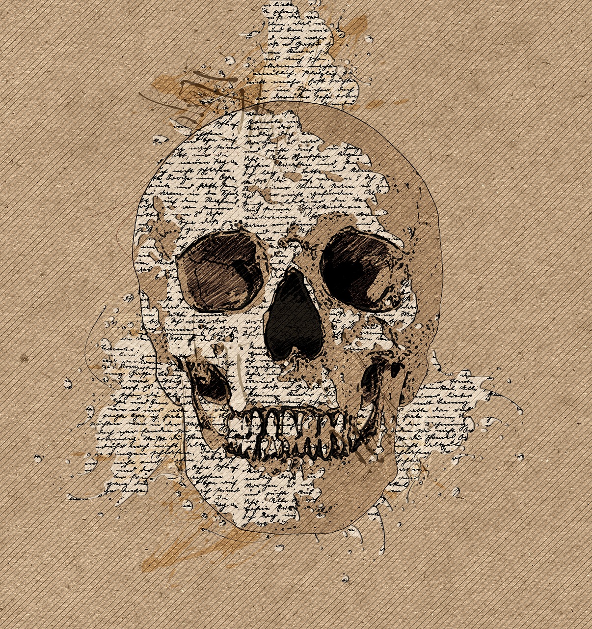 skull  sketch  writing free photo