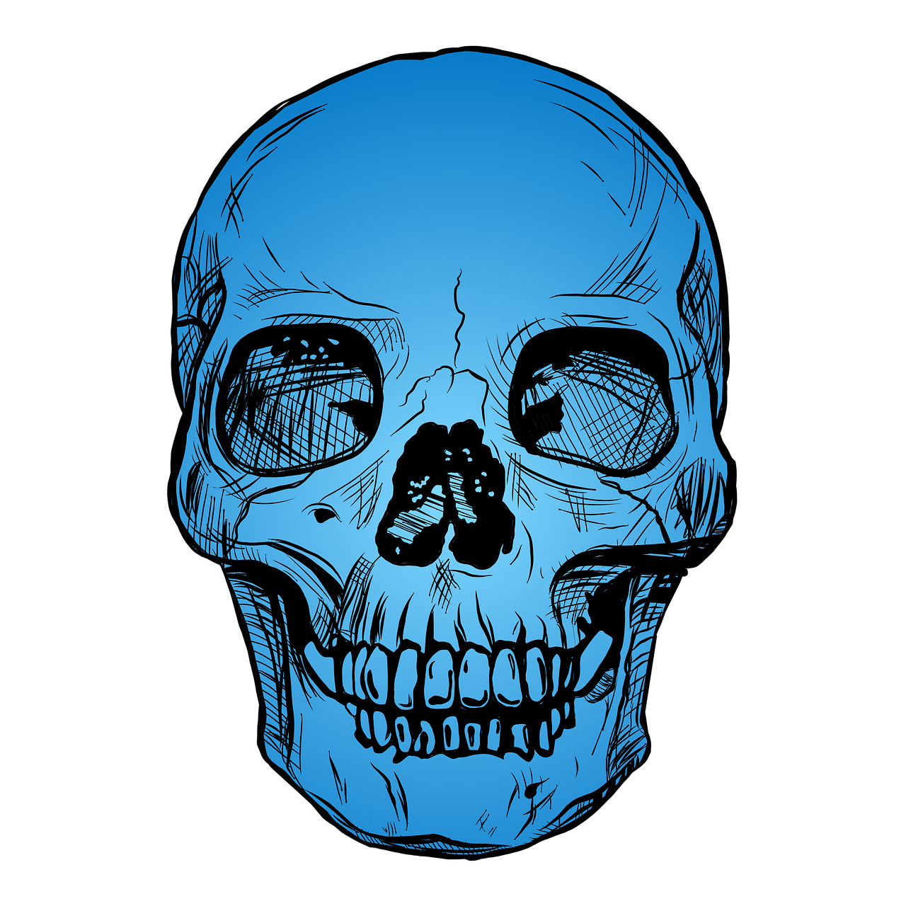 skull  blue  skeleton free photo