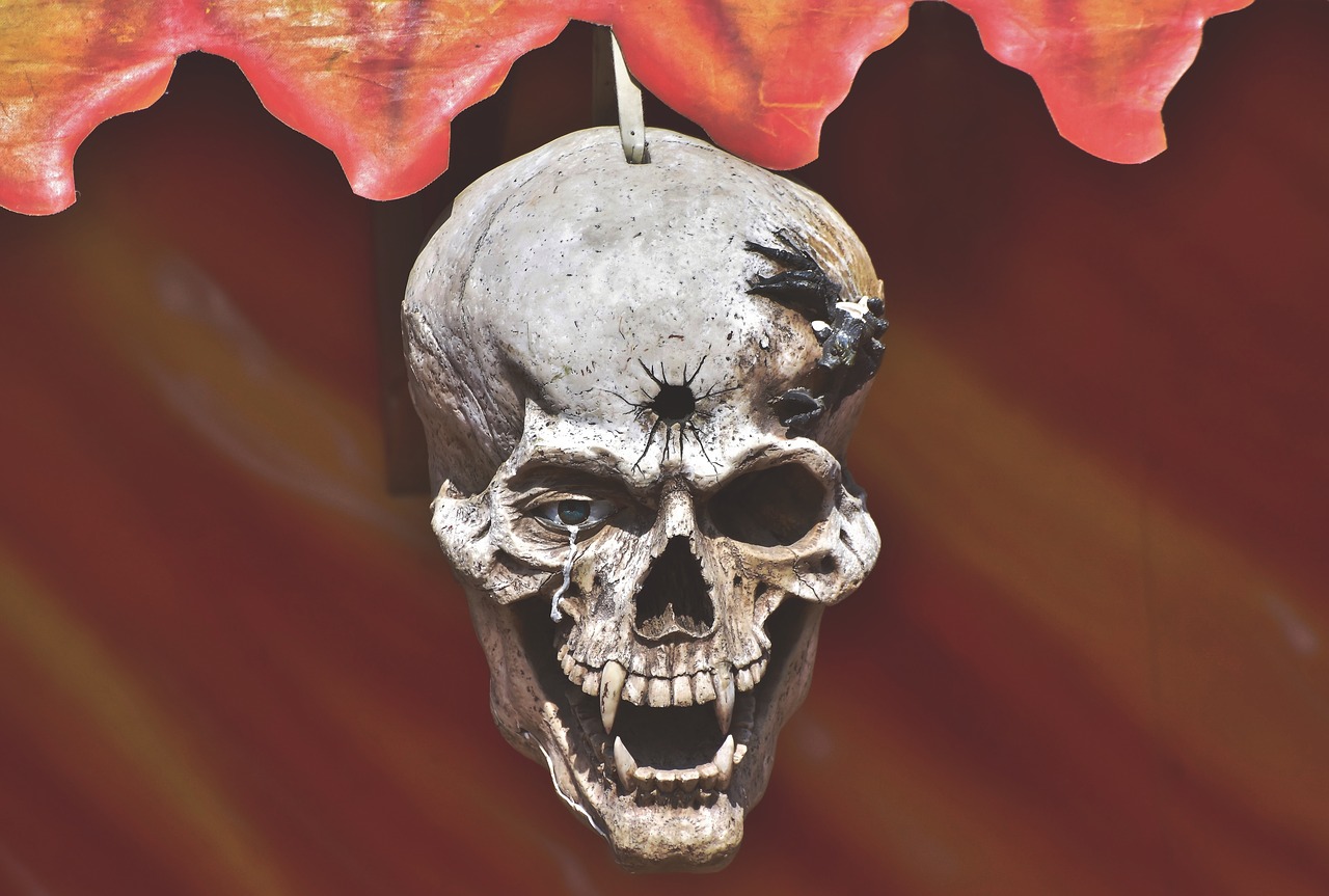 skull  skull and crossbones  creepy free photo