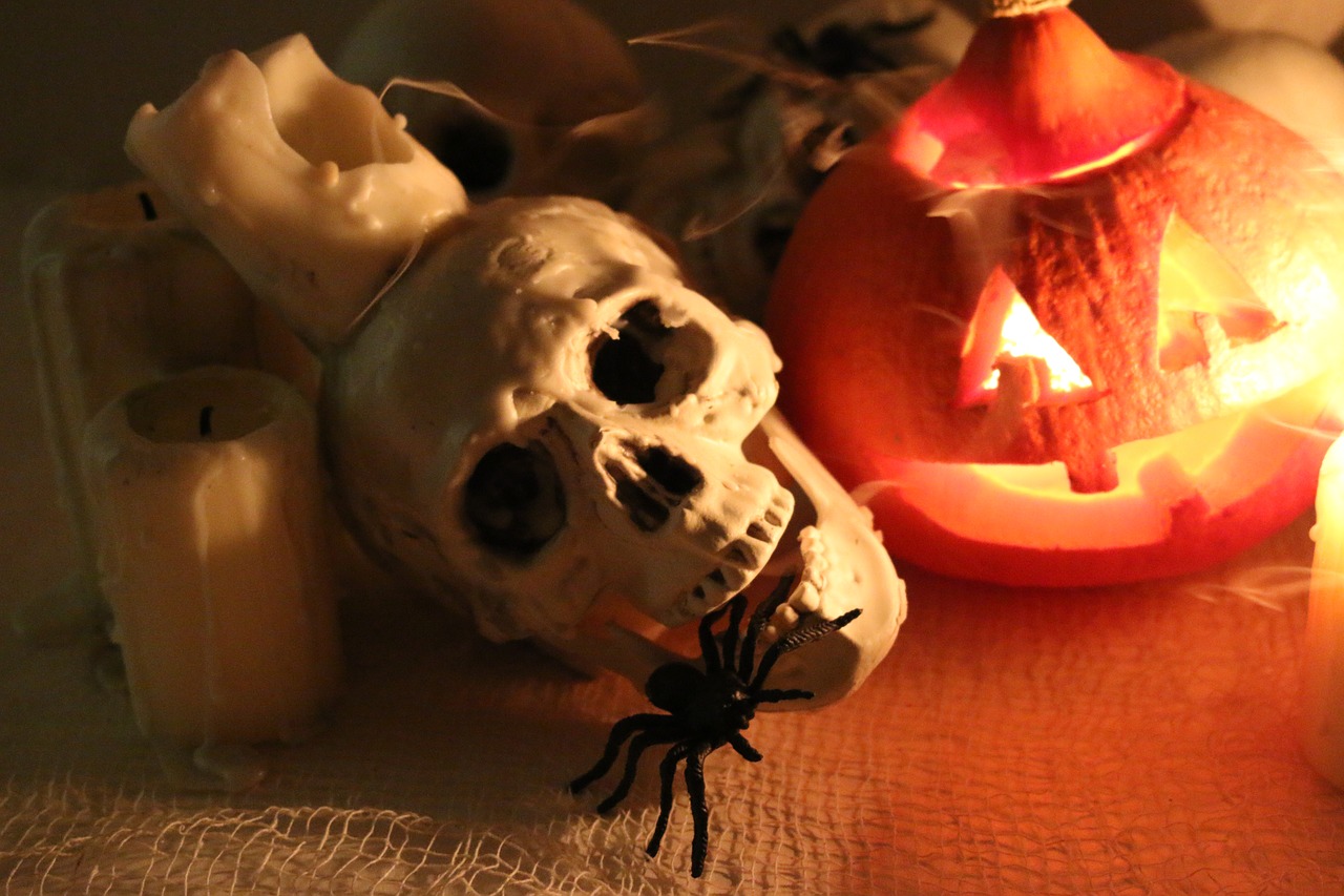 skull  spider  pumpkin free photo