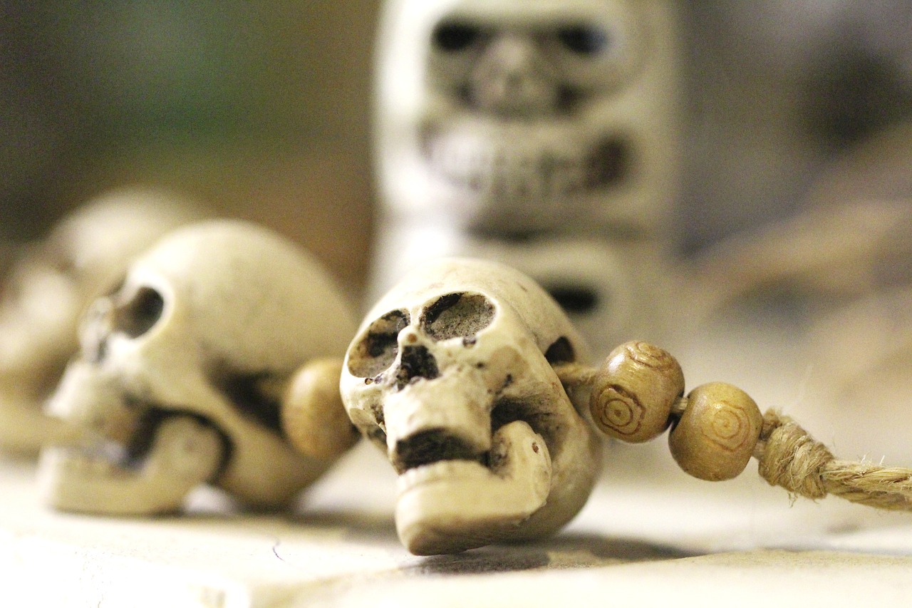 skull  skeleton  altar free photo