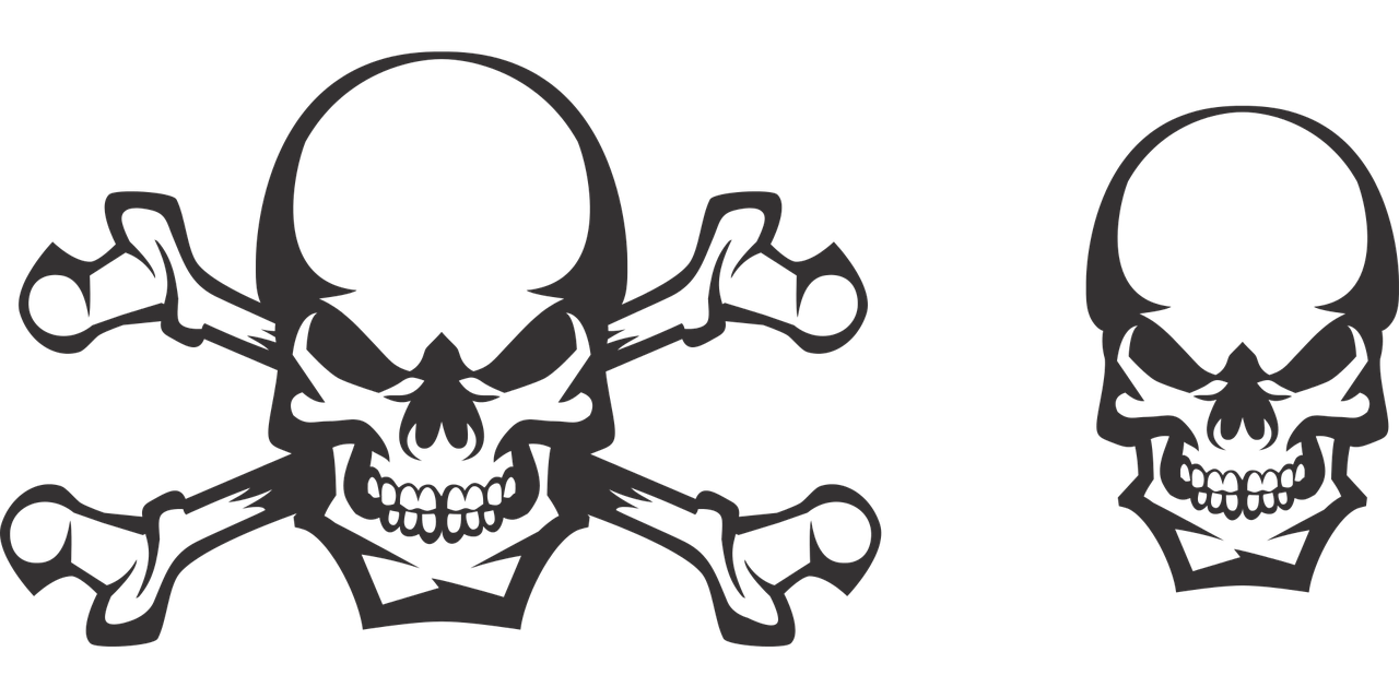 skull  skull and crossbones  death free photo