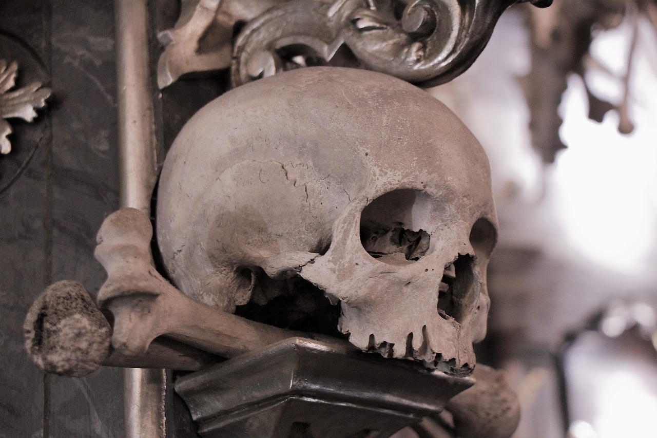 skull  sorrow  ossuary free photo