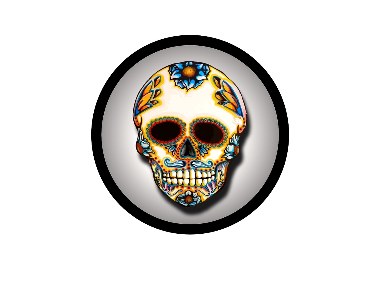 skull  circle  colorful free photo
