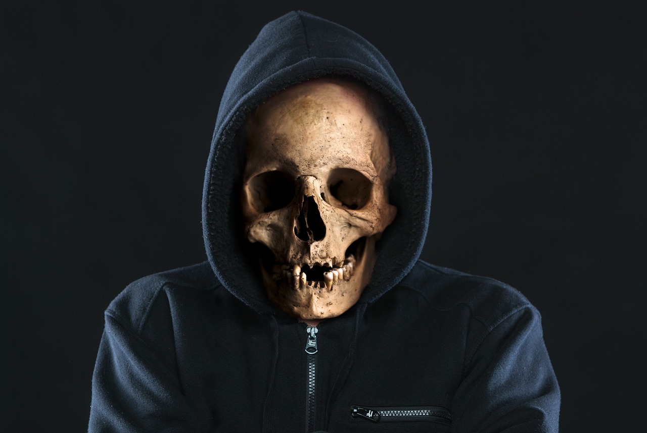 skull  scary  horror free photo