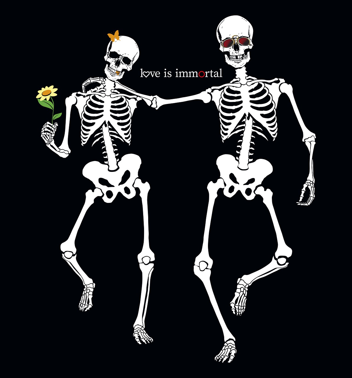 skull  skeleton  bone free photo