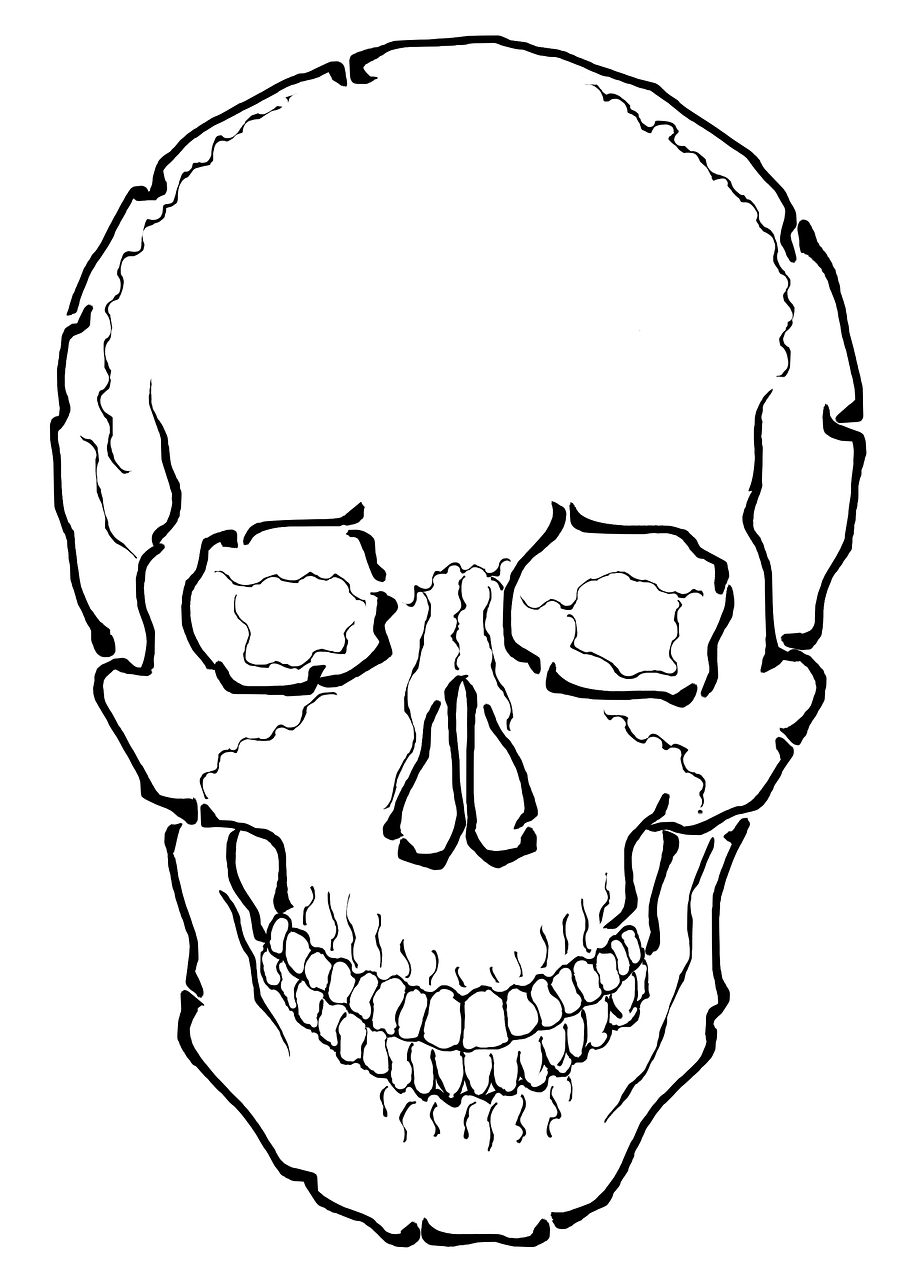 Человеческий череп контур