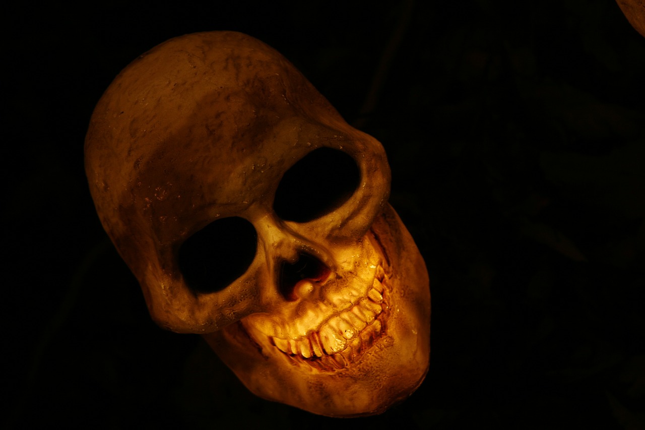skull skull and crossbones skeleton free photo