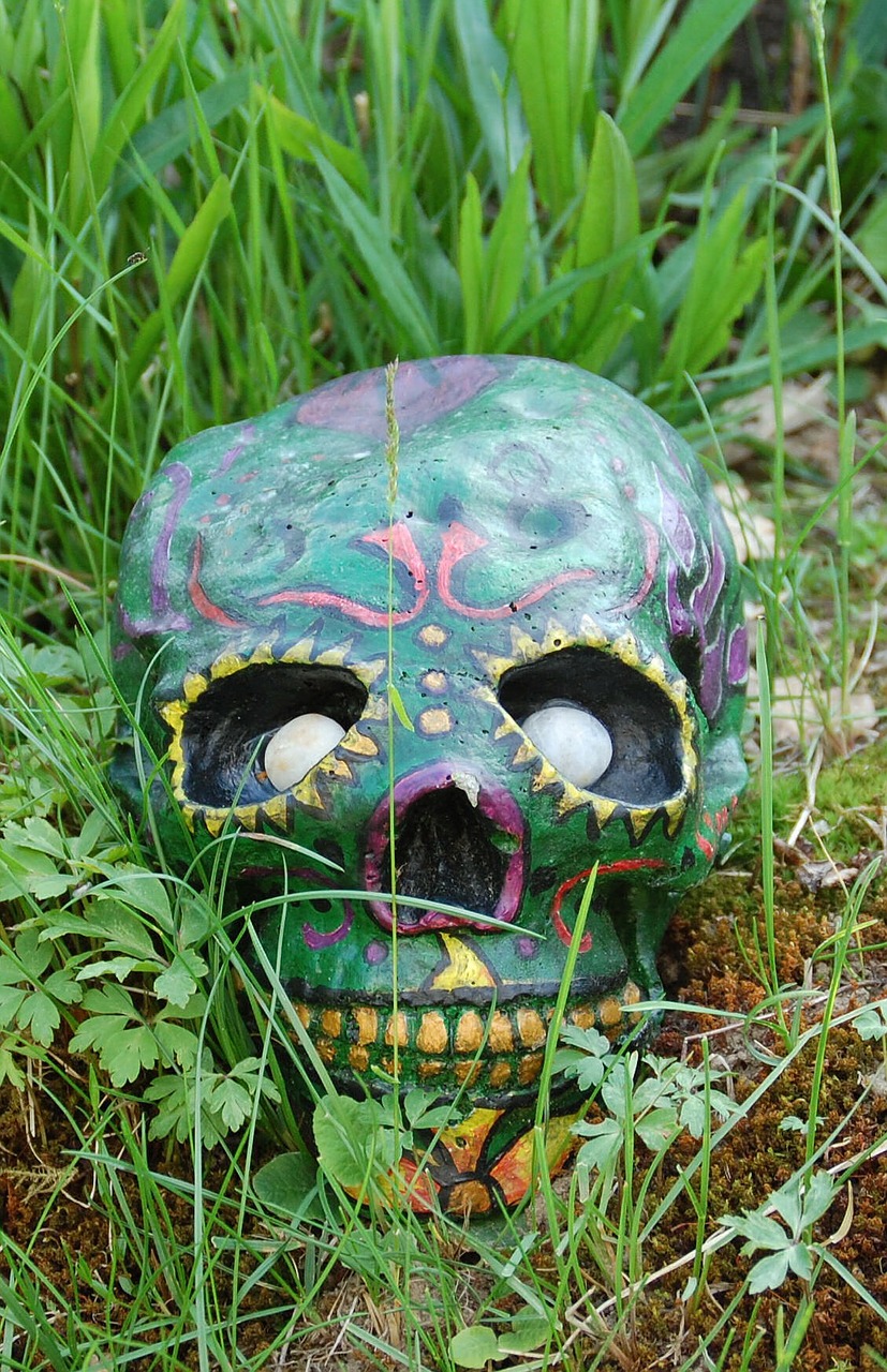 skull garden halloween free photo