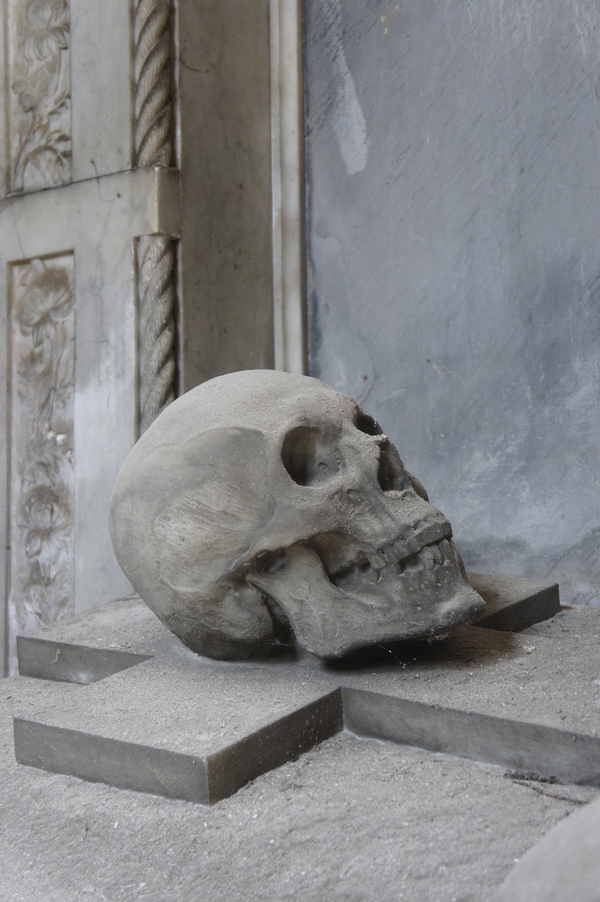 skull sculpture stone free photo