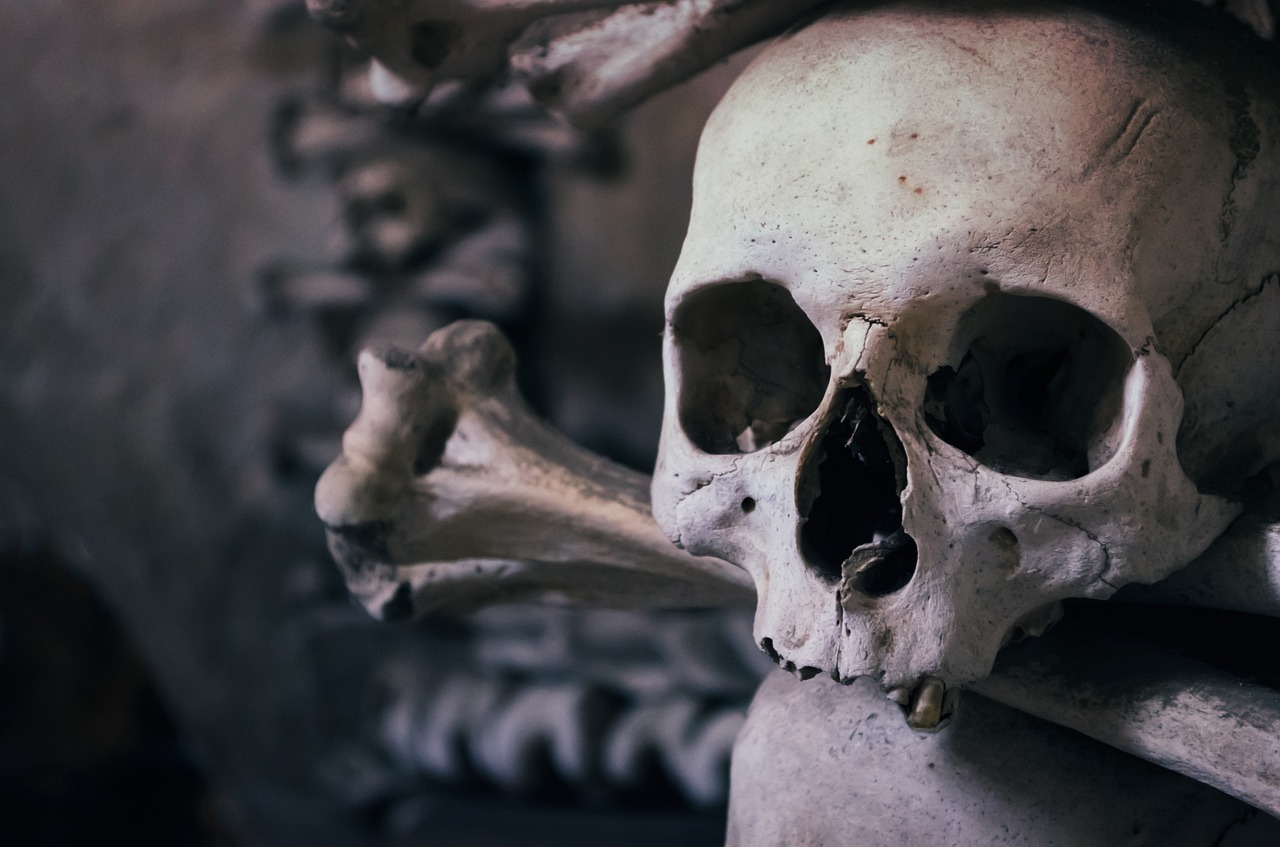 skull ossuary czech republic free photo