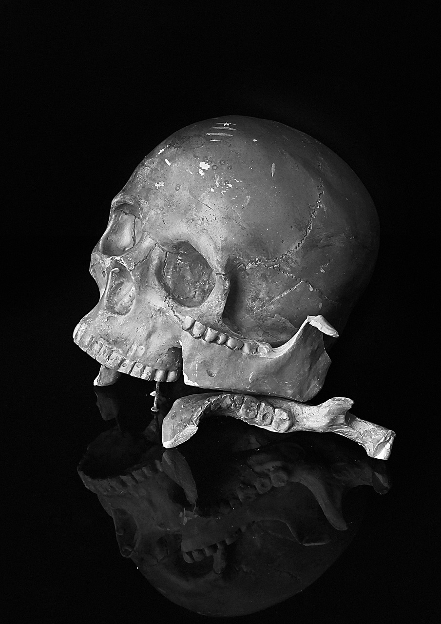 skull horror movie broken free photo
