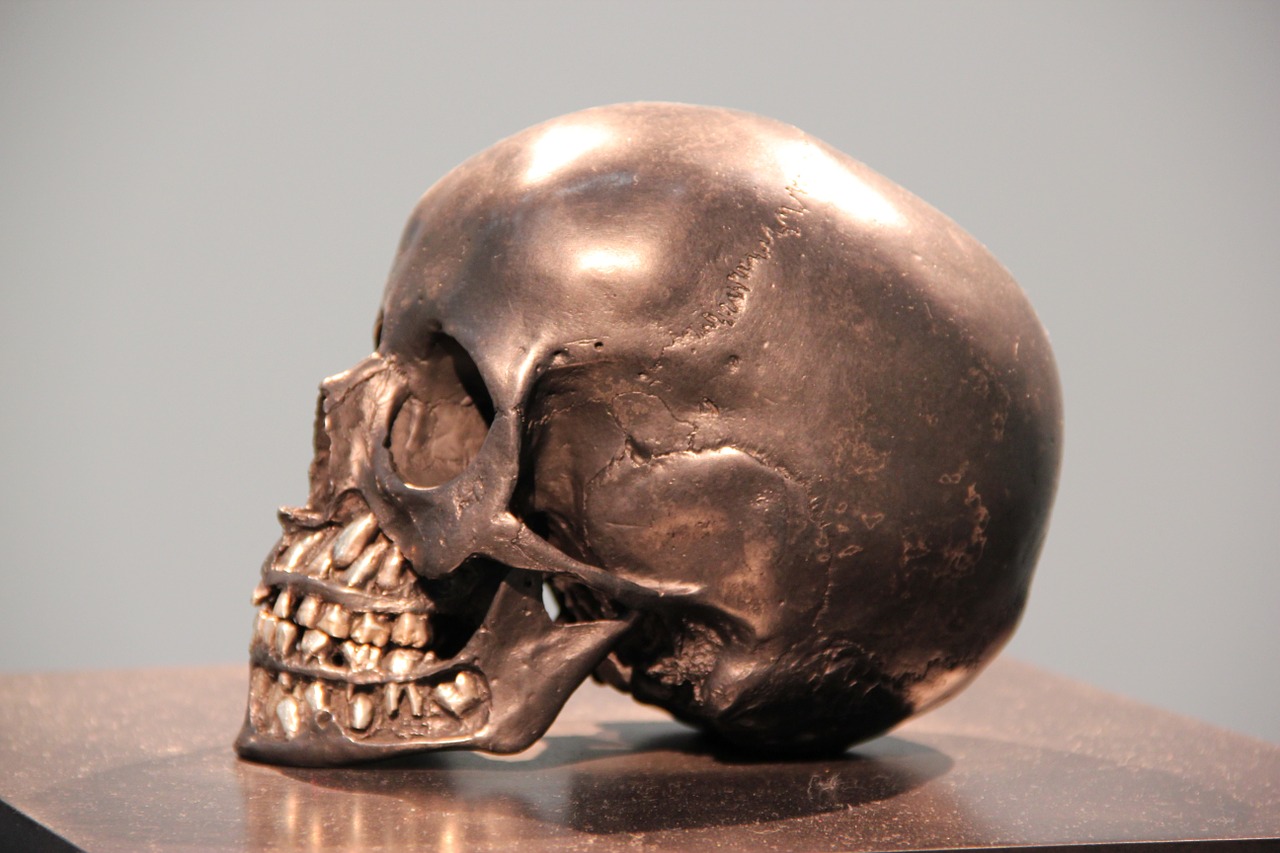 skull bronze head free photo