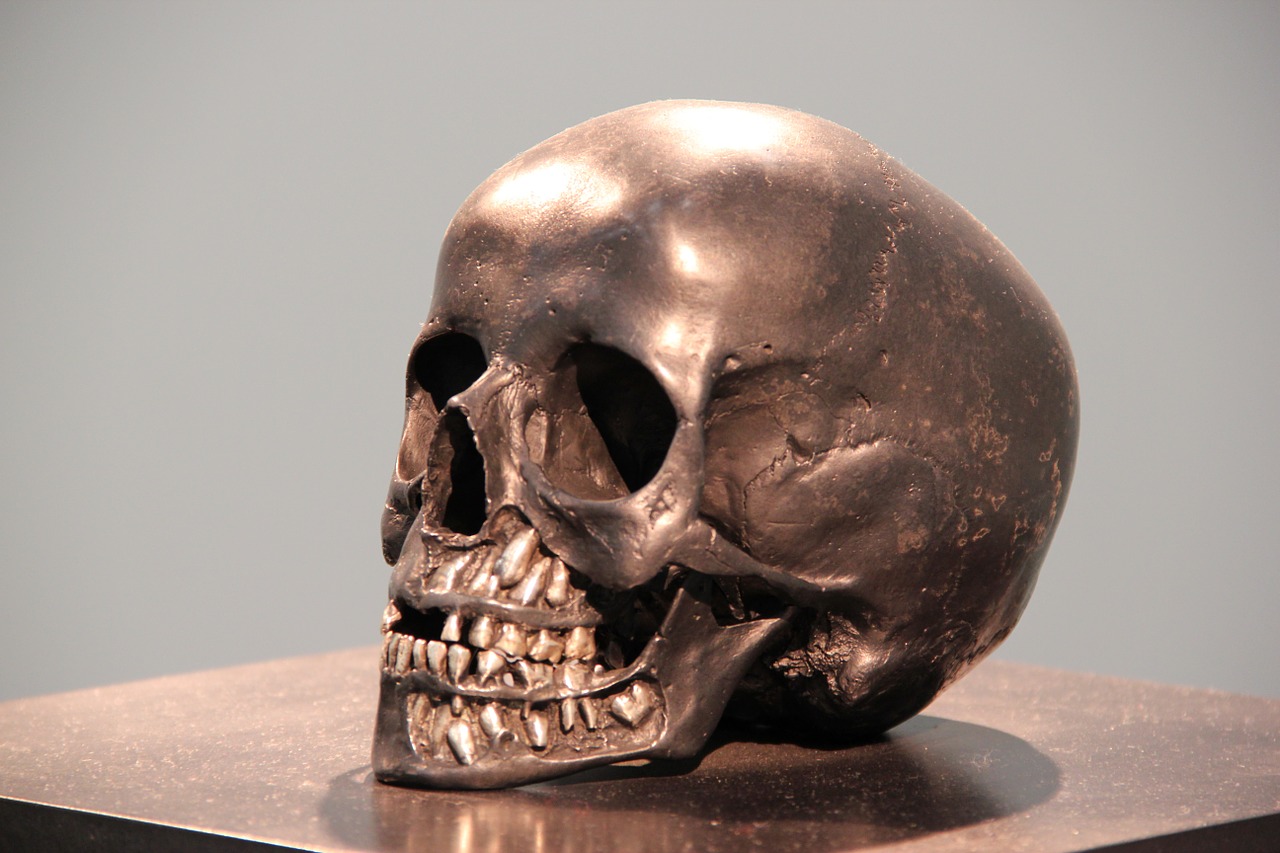 skull bronze head free photo