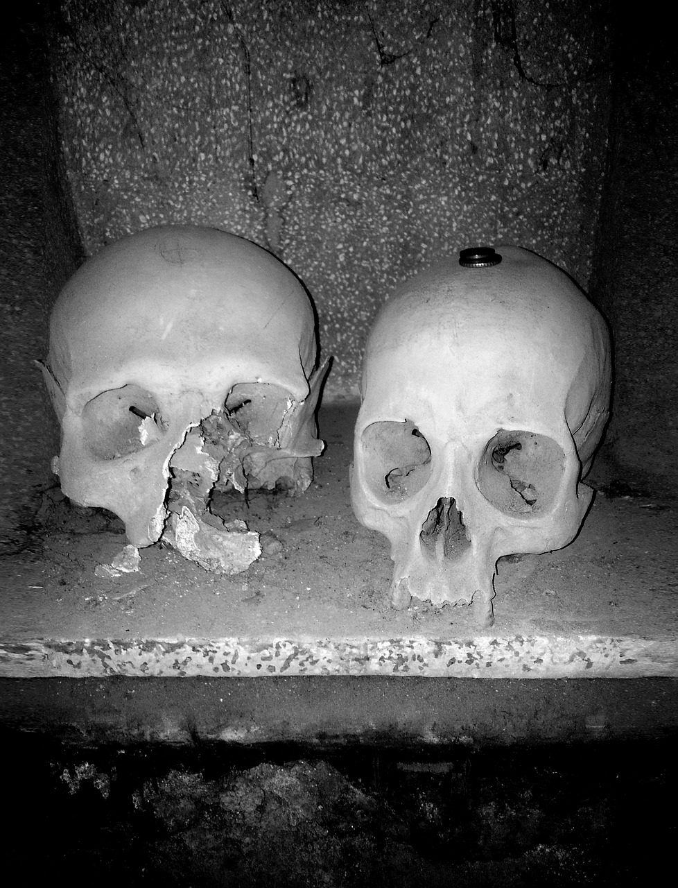 skull death naples free photo