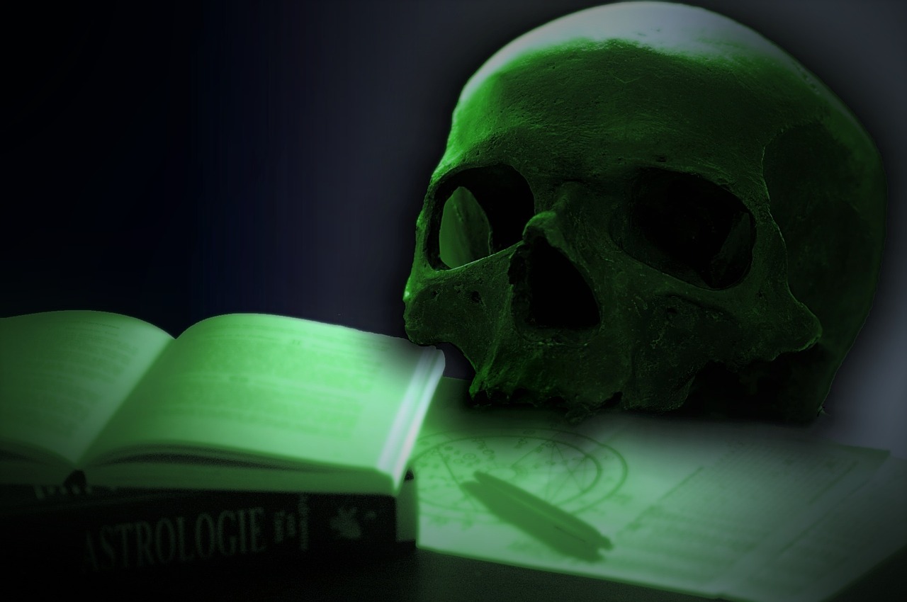 skull book spiritual free photo