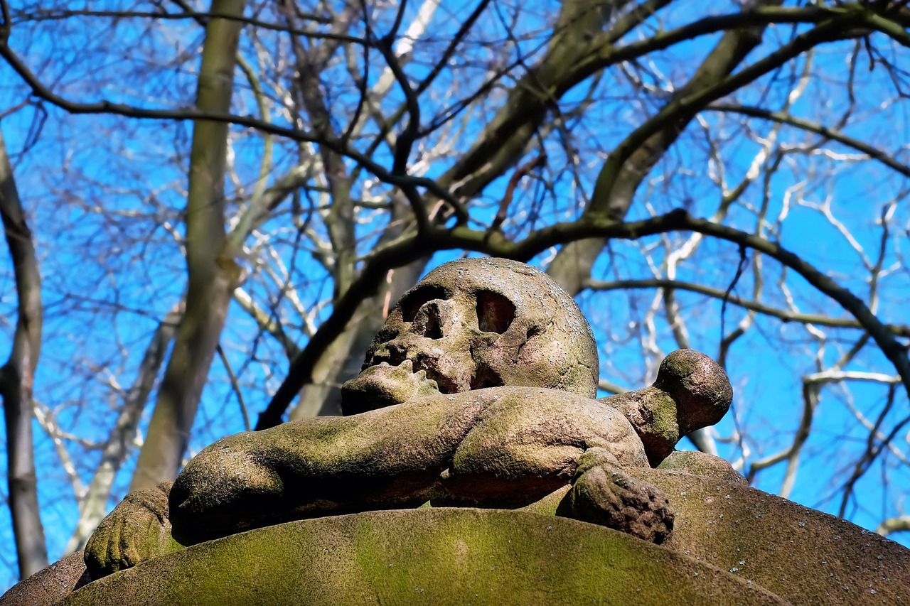 skull and crossbones skull stone free photo