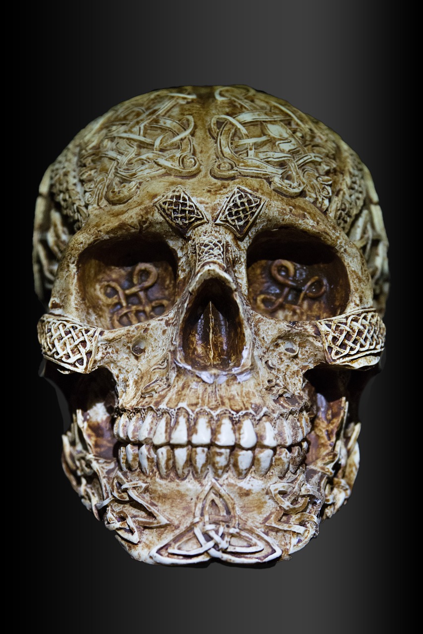 skull and crossbones celts celtic skull free photo