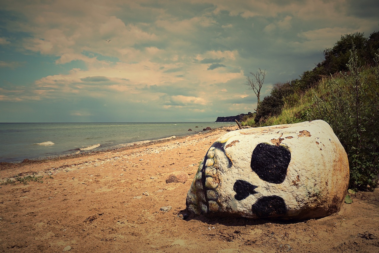 skull and crossbones beach baltic sea free photo