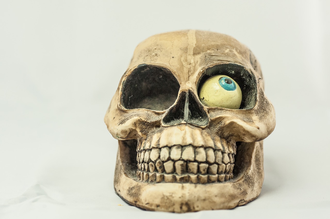 Фото черепа человека с зубами