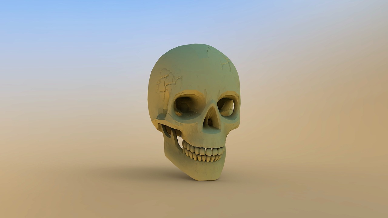 skull and crossbones skull background free photo