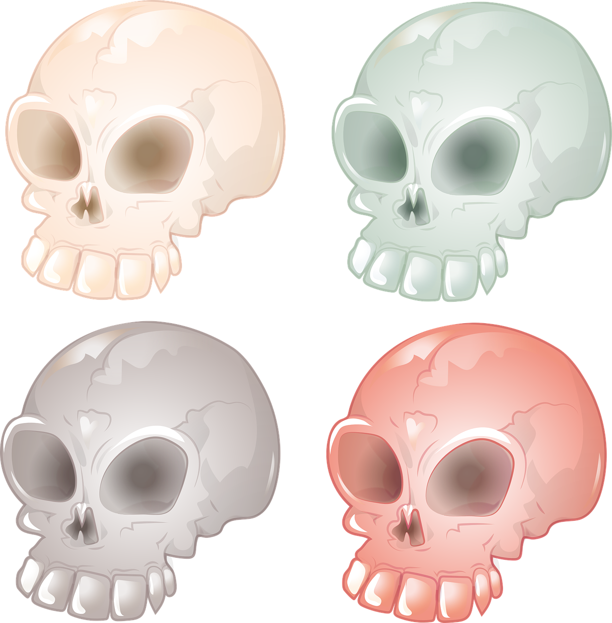 skull and crossbones skull bone free photo