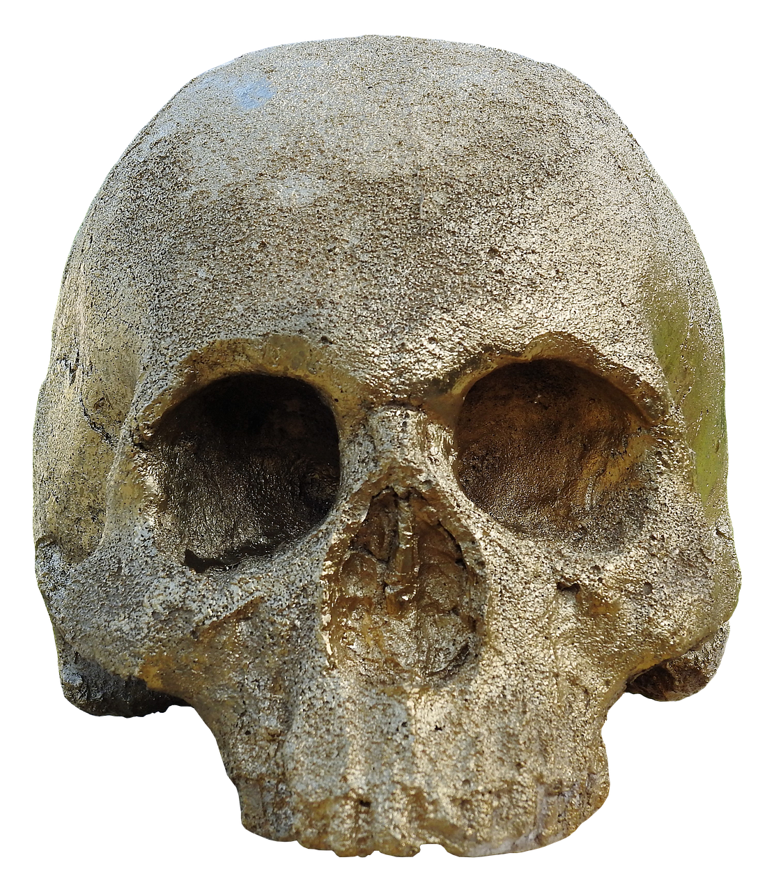 skull and crossbones golden skull skull free photo