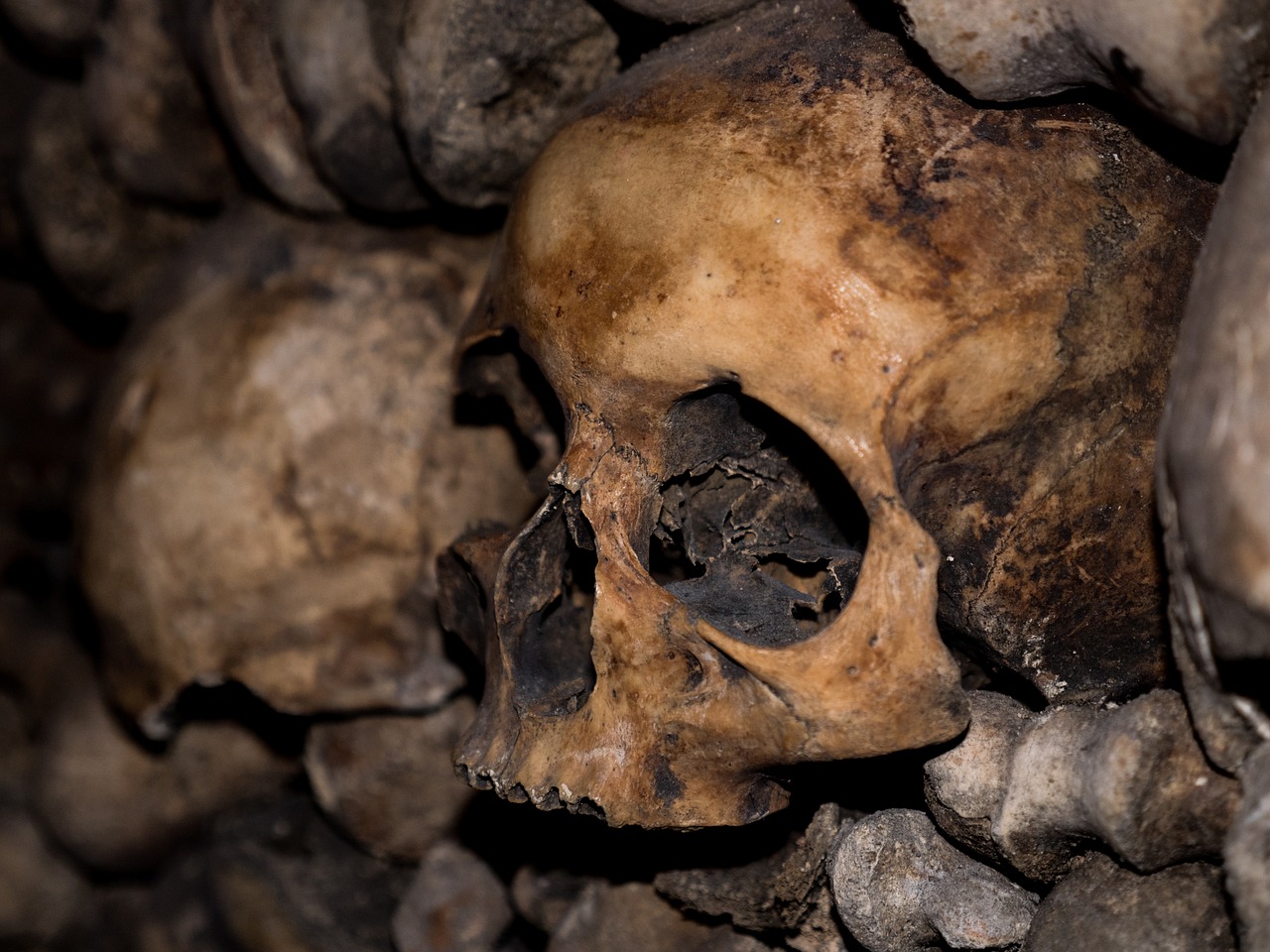 skull and crossbones  catacombs  horror free photo