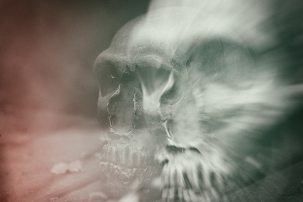 skull and crossbones  double exposure  death free photo