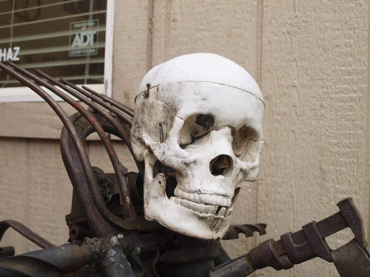 skull and crossbones motorcycle skeleton free photo