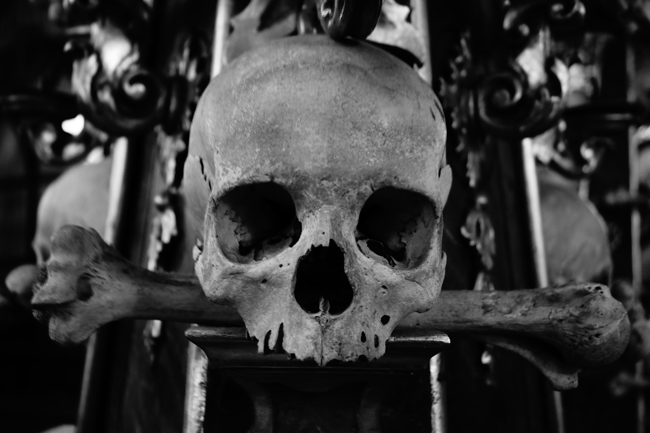 skull and crossbones skull bone church free photo