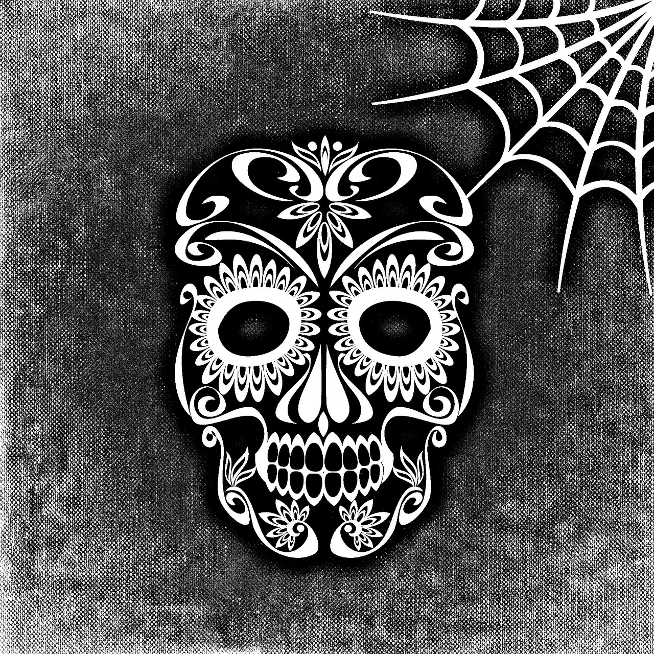 skull and crossbones cobweb background free photo