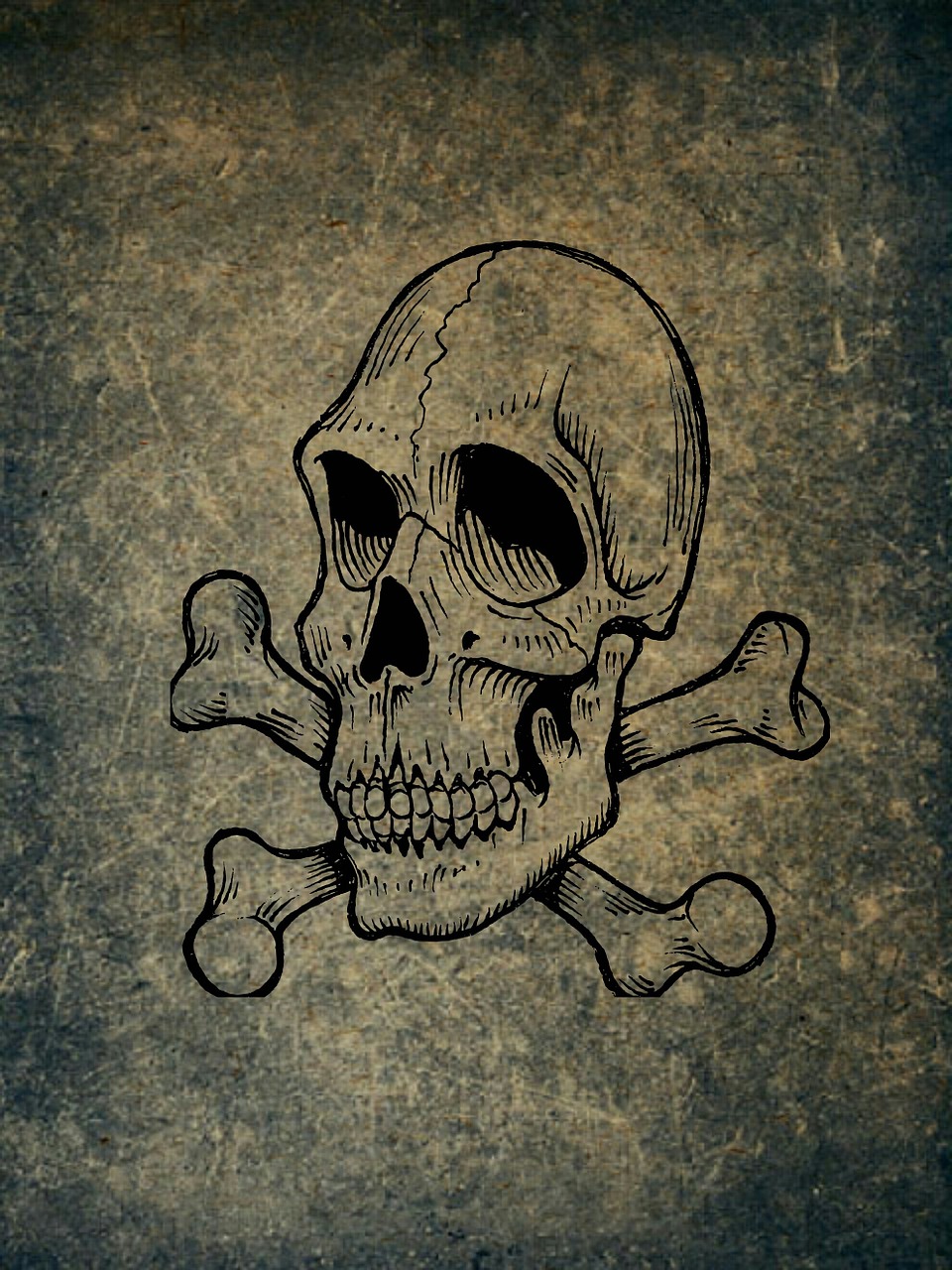 skull and crossbones weird skull free photo