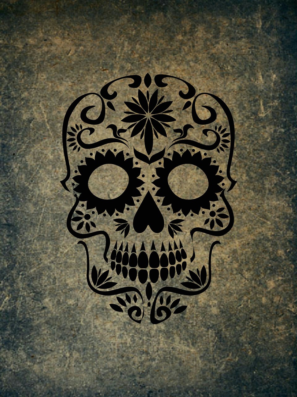 skull and crossbones weird skull free photo