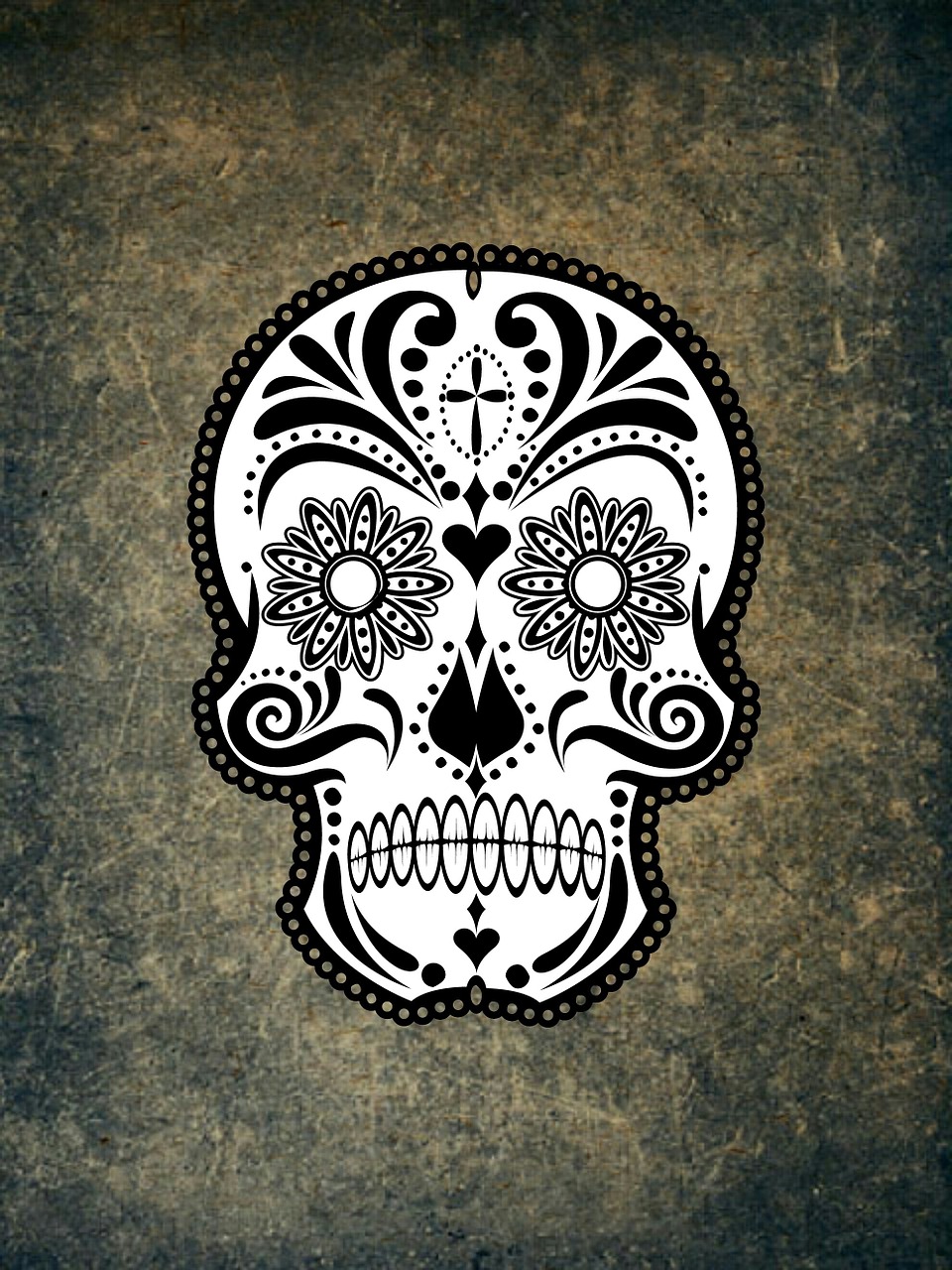 skull and crossbones weird skull free photo