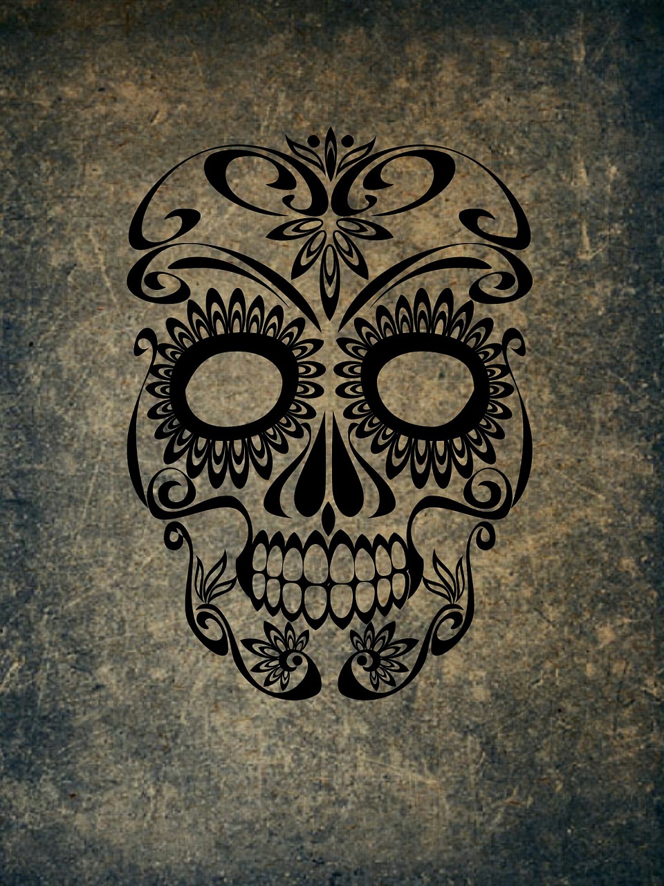 skull and crossbones weird skull free photo