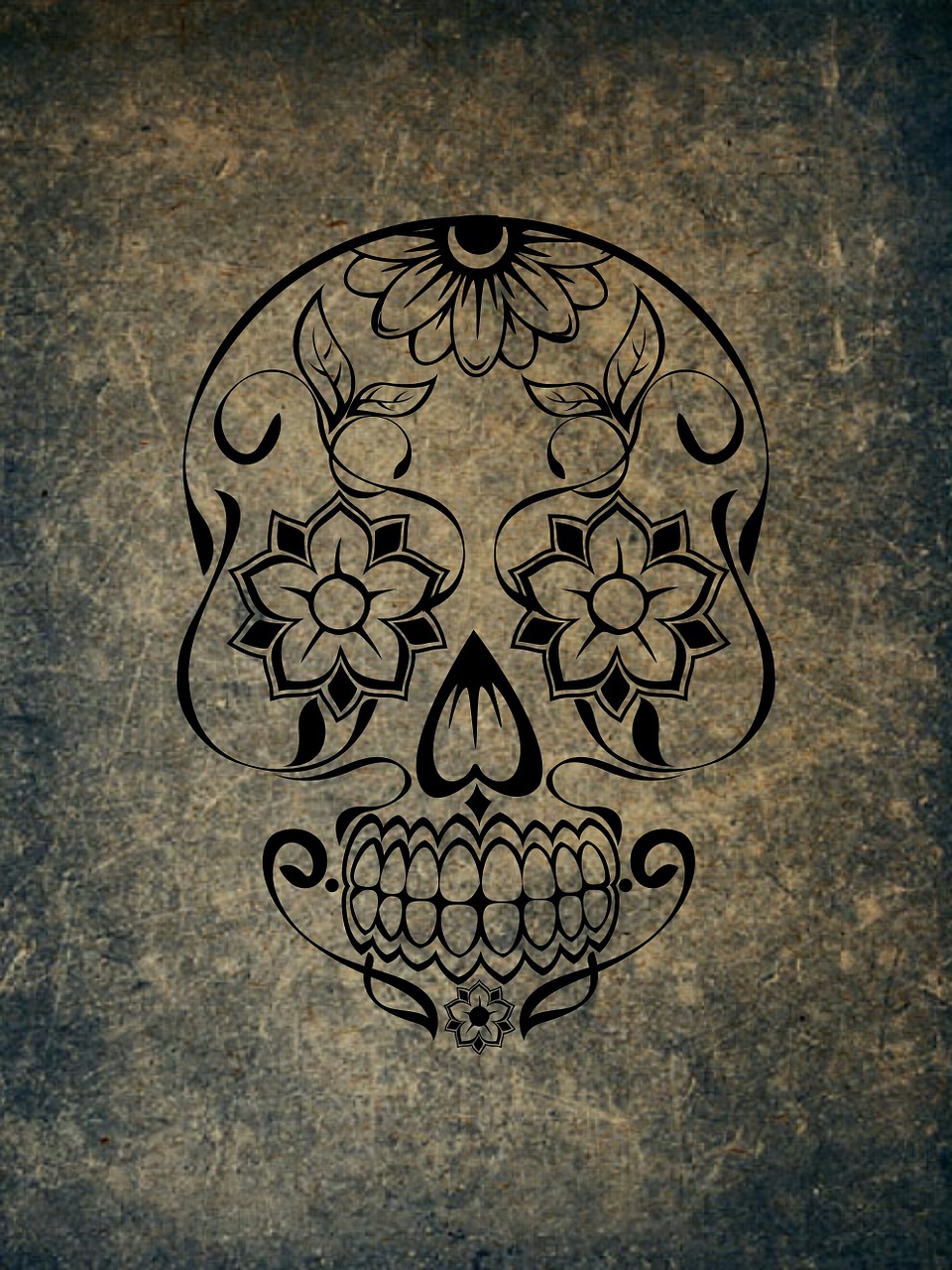 skull and crossbones weird skull free photo