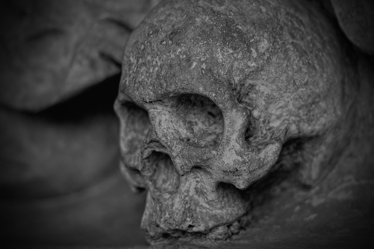 skull and crossbones skull dead free photo