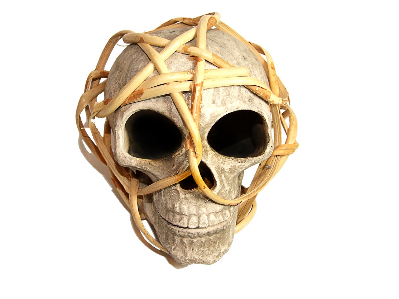 skull and crossbones skeleton bone free photo