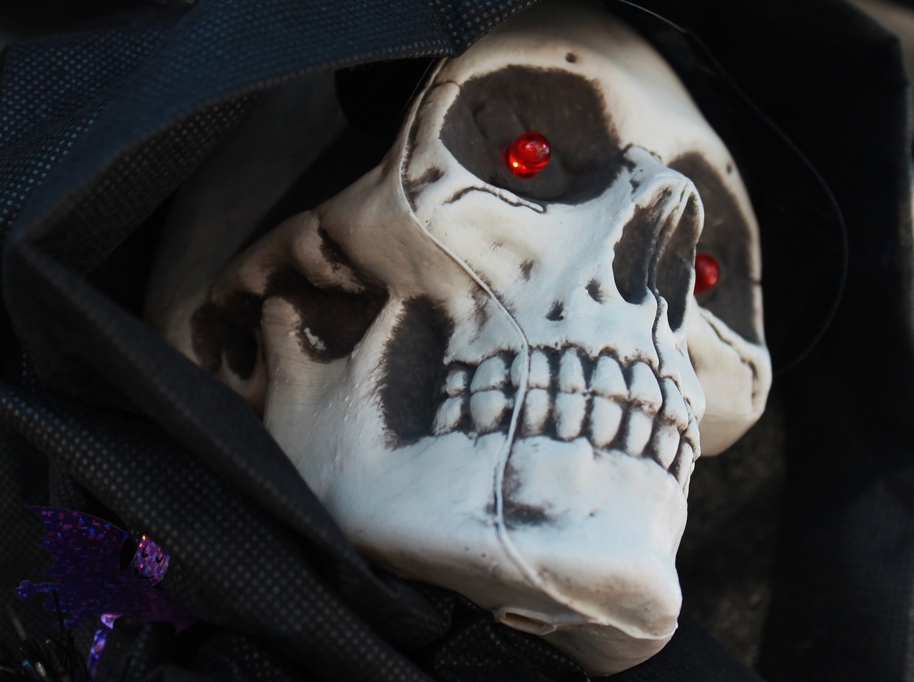skull face halloween halloween background free photo