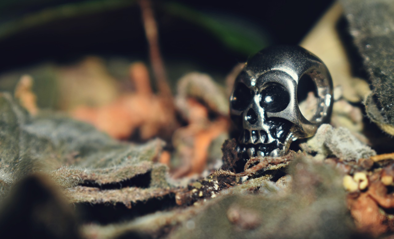 skull metal  skull  rock free photo