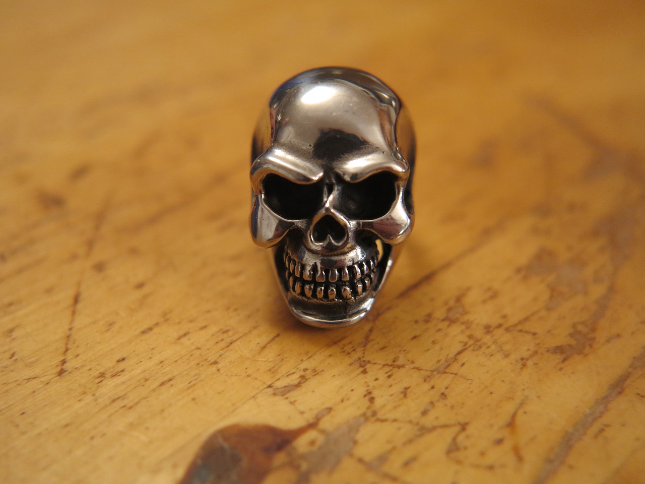 skull ring skull ring free photo