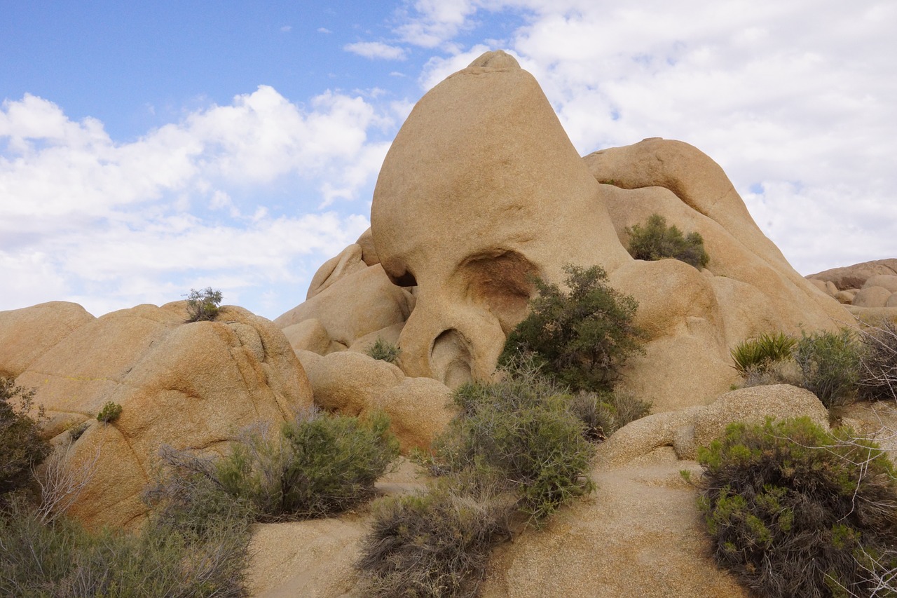 skull rock usa stones free photo