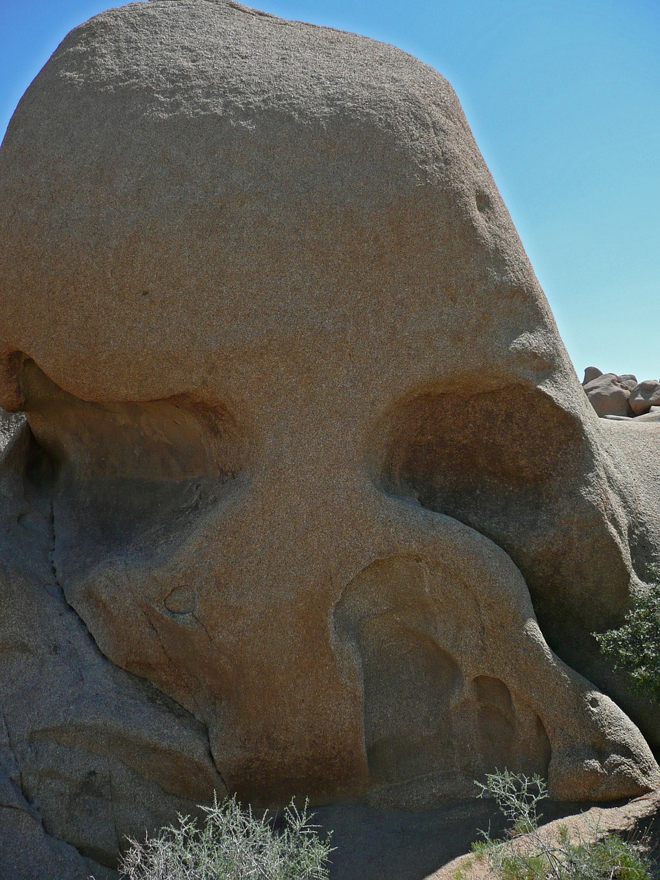 skull rock joshua tree national park tourist attraction free photo