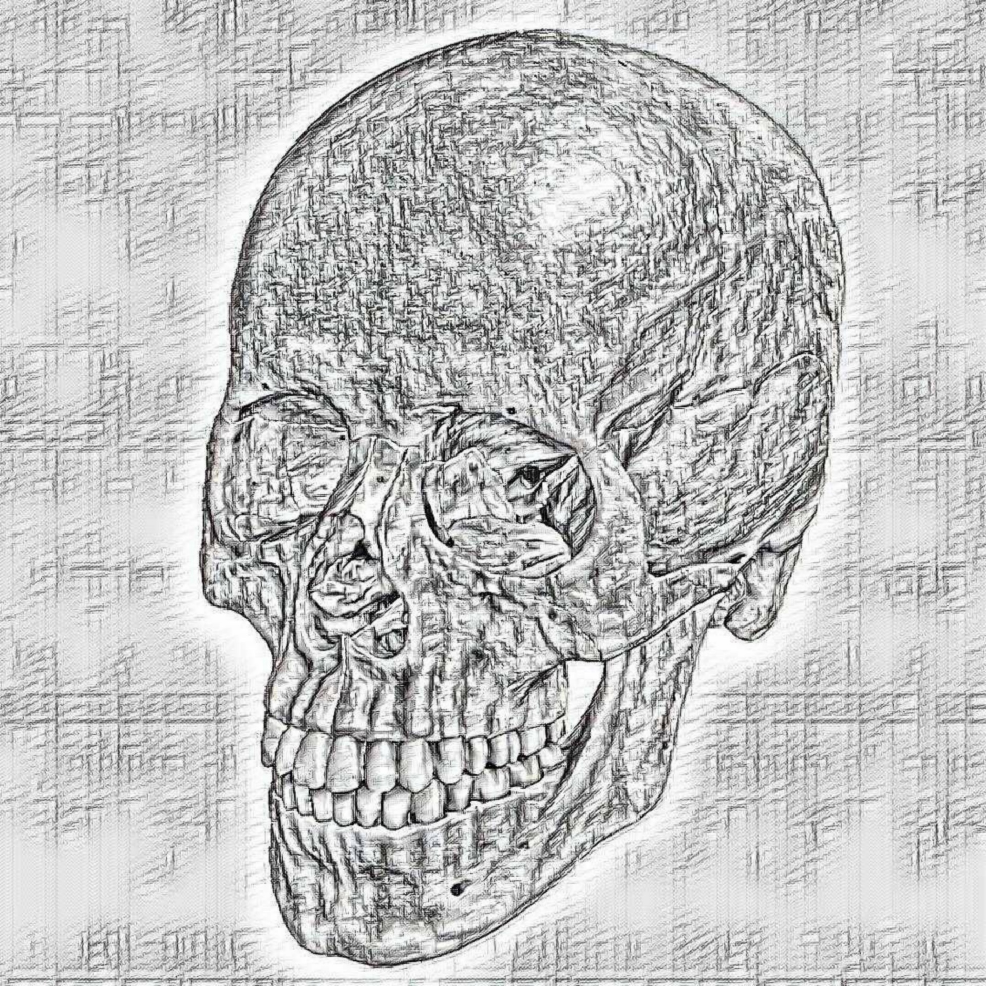 human skull sketch free photo