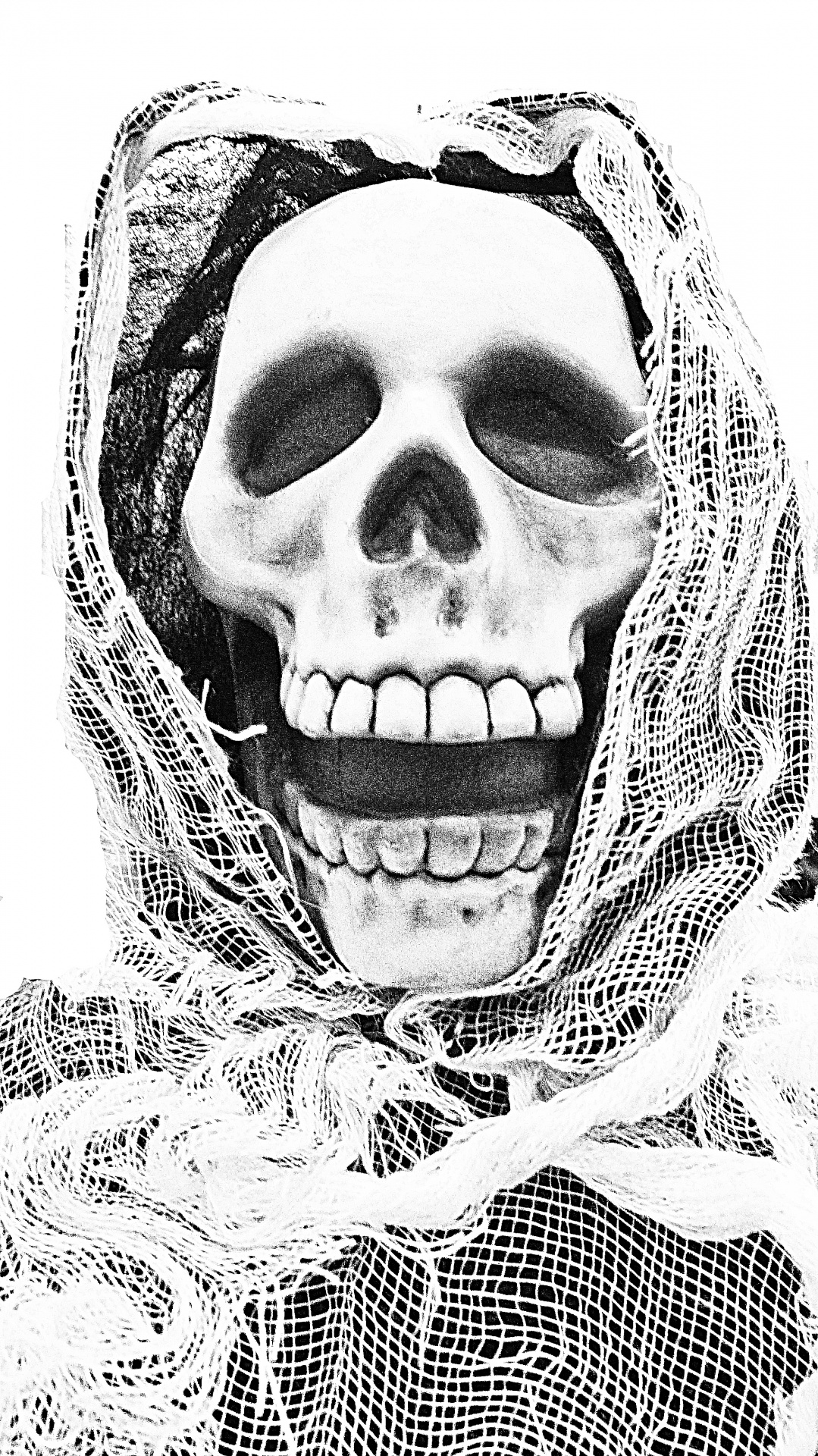 skull netting black free photo
