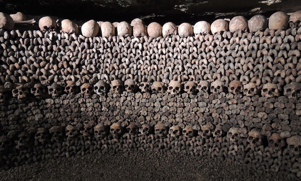 skulls catacombs paris free photo