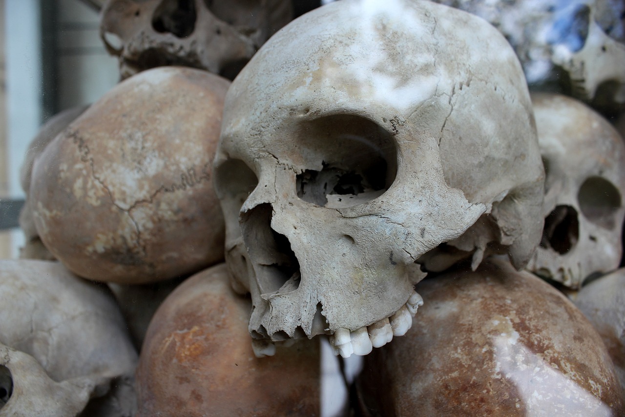 skulls genocide murder free photo