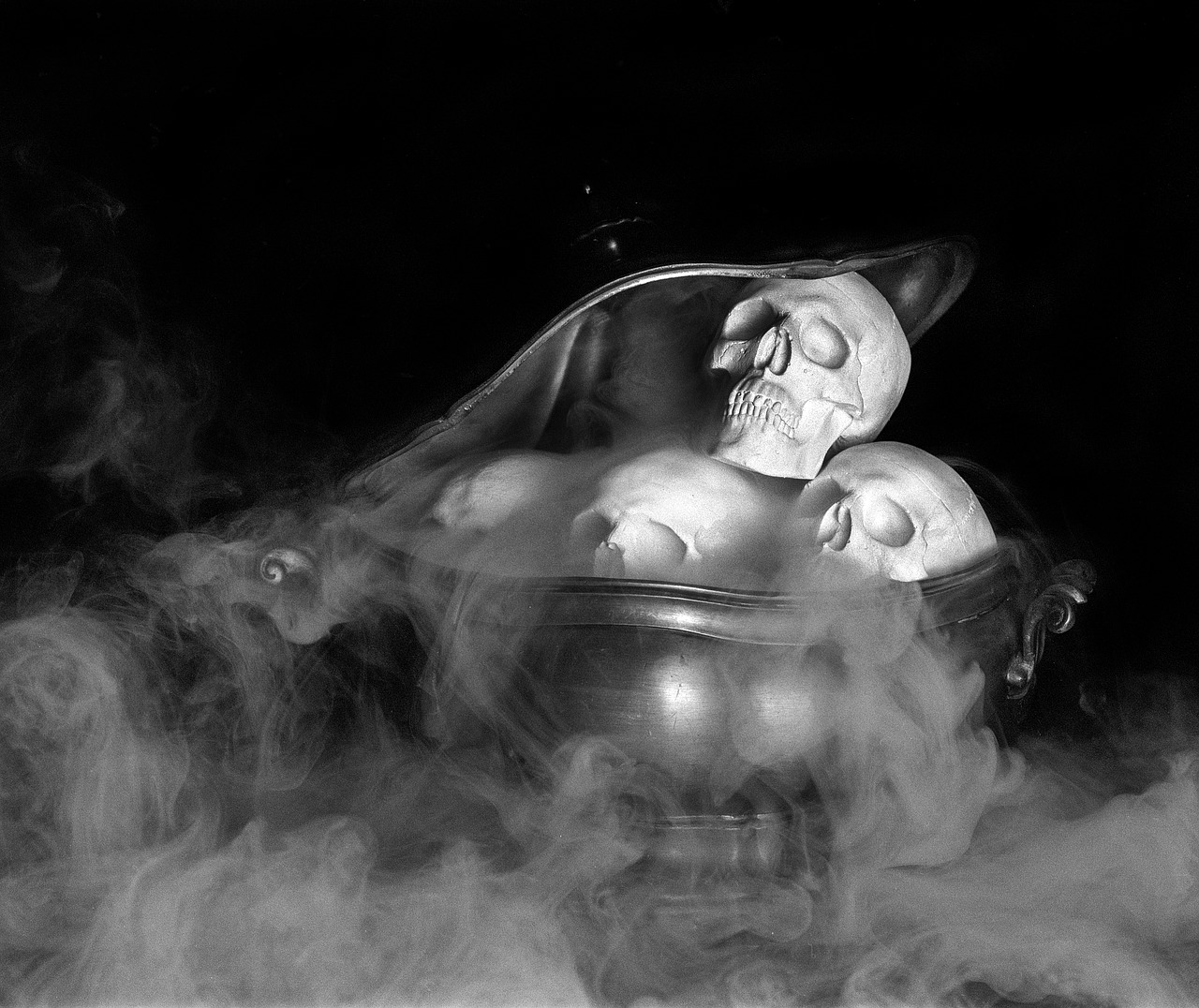 skulls halloween spooky free photo